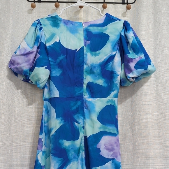 Blue Floral Dress - Picture 9 of 16